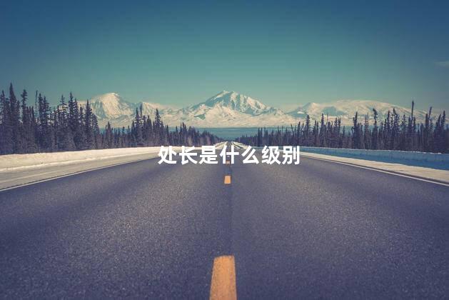 处长是什么级别