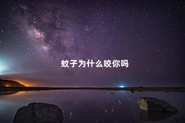 蚊子为什么咬你吗