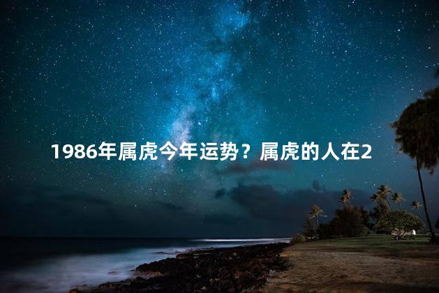 1986年属虎今年运势？属虎的人在2022年将迎来何种运势？