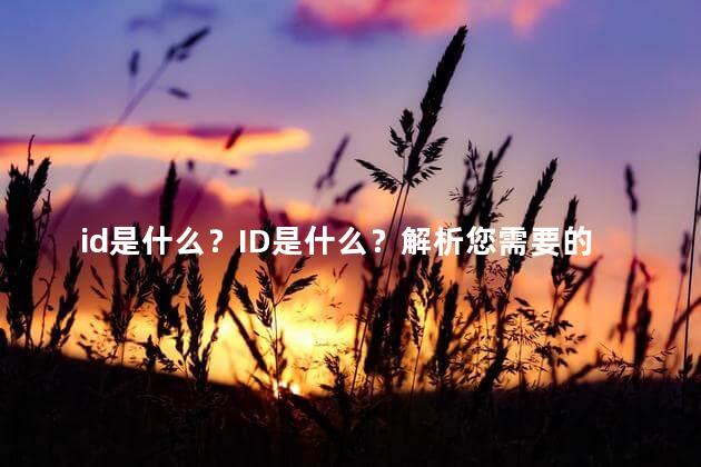id是什么？ID是什么？解析您需要的是重写一个新标题而不包含任何特殊符号。新标题不能超过35个字。