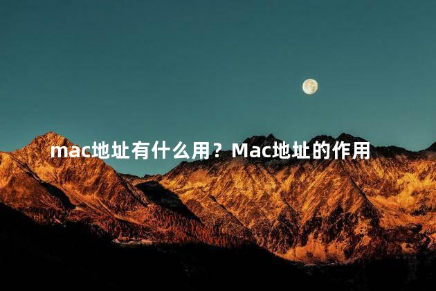 mac地址有什么用？Mac地址的作用——网络设备标识