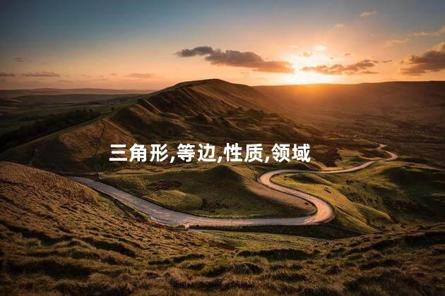 三角形,等边,性质,领域