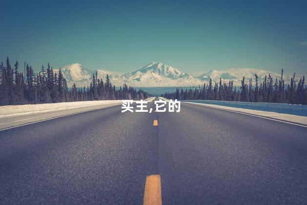 买主,它的