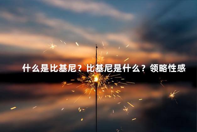 什么是比基尼？比基尼是什么？领略性感火辣的海滩风情