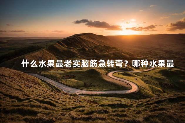 什么水果最老实脑筋急转弯？哪种水果最守信用脑筋急转弯