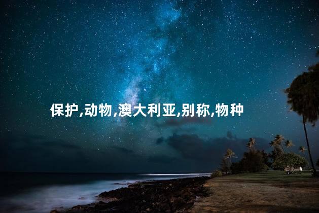 保护,动物,澳大利亚,别称,物种