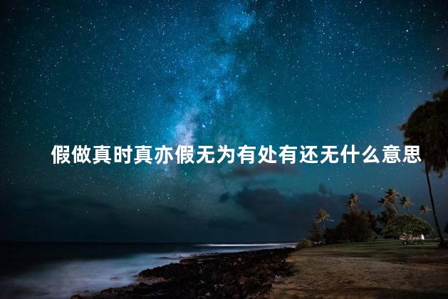 假做真时真亦假无为有处有还无什么意思？真假无为,无为有为,新视角解析！