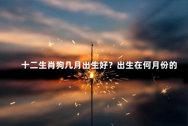 十二生肖狗几月出生好？出生在何月份的人最适合属狗？