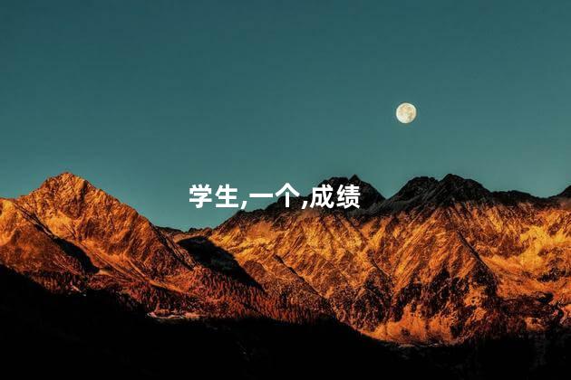 学生,一个,成绩