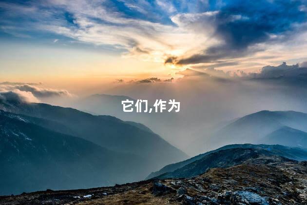 它们,作为