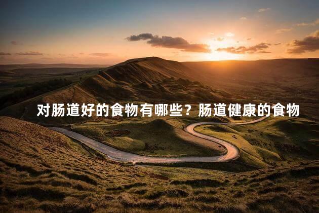 对肠道好的食物有哪些？肠道健康的食物有哪些