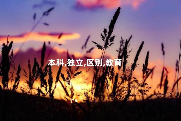 本科,独立,区别,教育