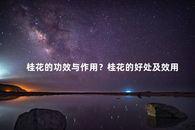 桂花的功效与作用？桂花的好处及效用