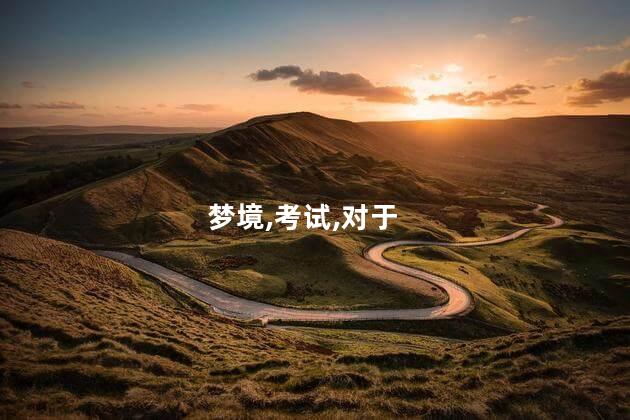 梦境,考试,对于