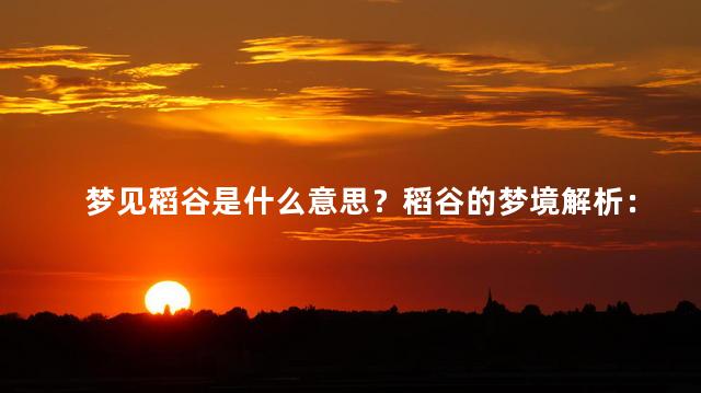梦见稻谷是什么意思？稻谷的梦境解析：你的潜意识暗示了什么？