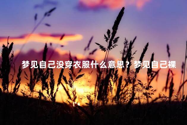 梦见自己没穿衣服什么意思？梦见自己裸体的解析