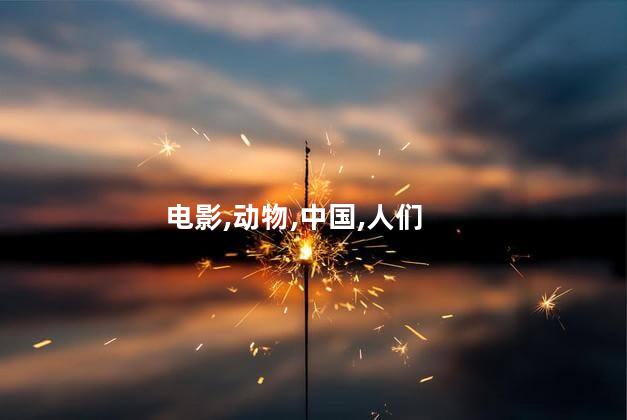 电影,动物,中国,人们
