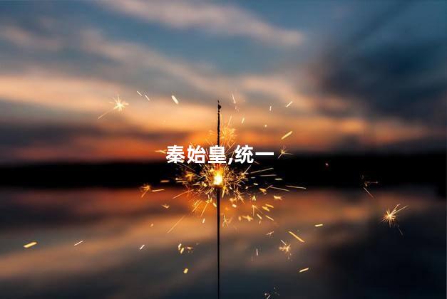 秦始皇,统一