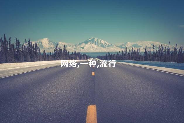 网络,一种,流行