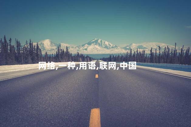 网络,一种,用语,联网,中国
