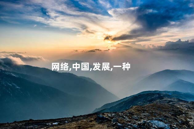 网络,中国,发展,一种